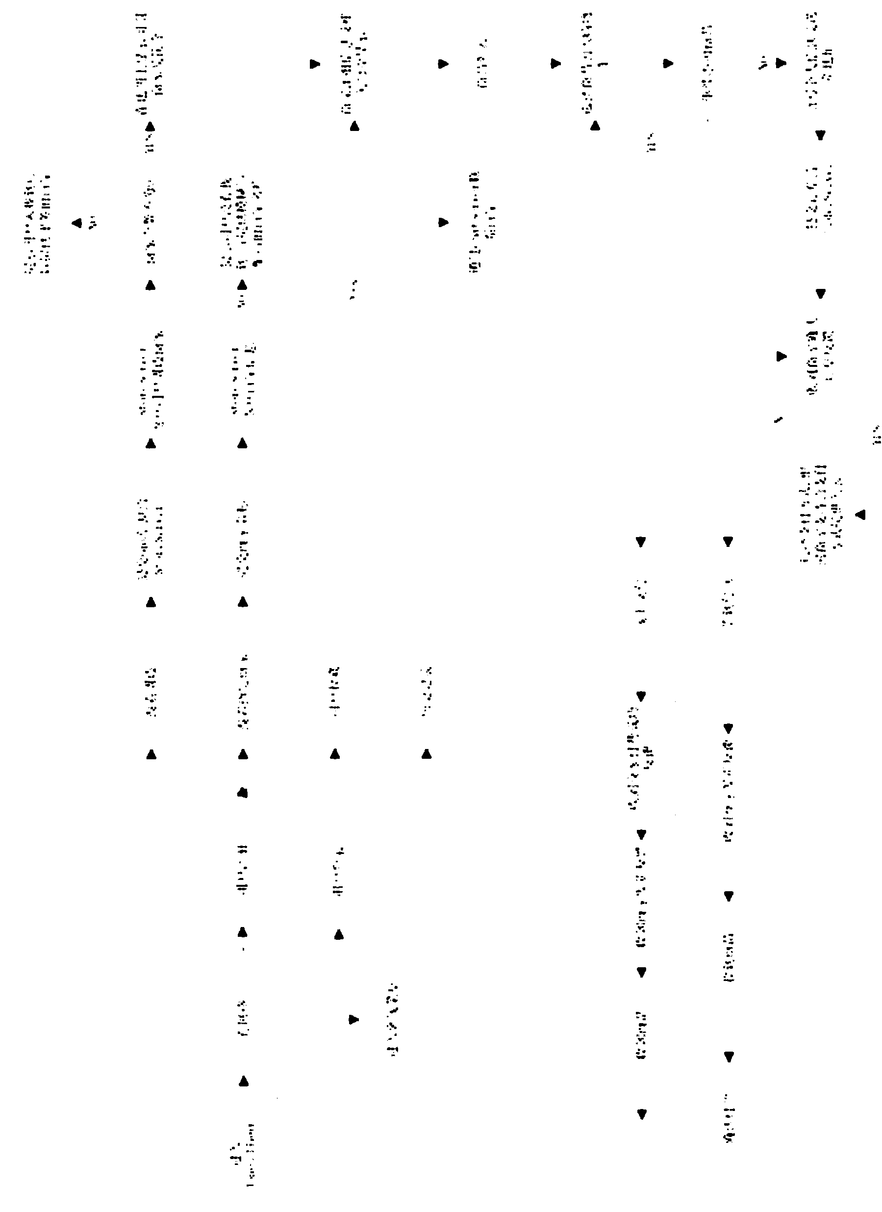 Mobile interactive ordering/positioning service system and method