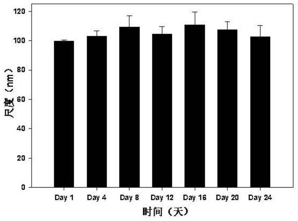 Nano resveratrol-coated compound as well as preparation method and application thereof