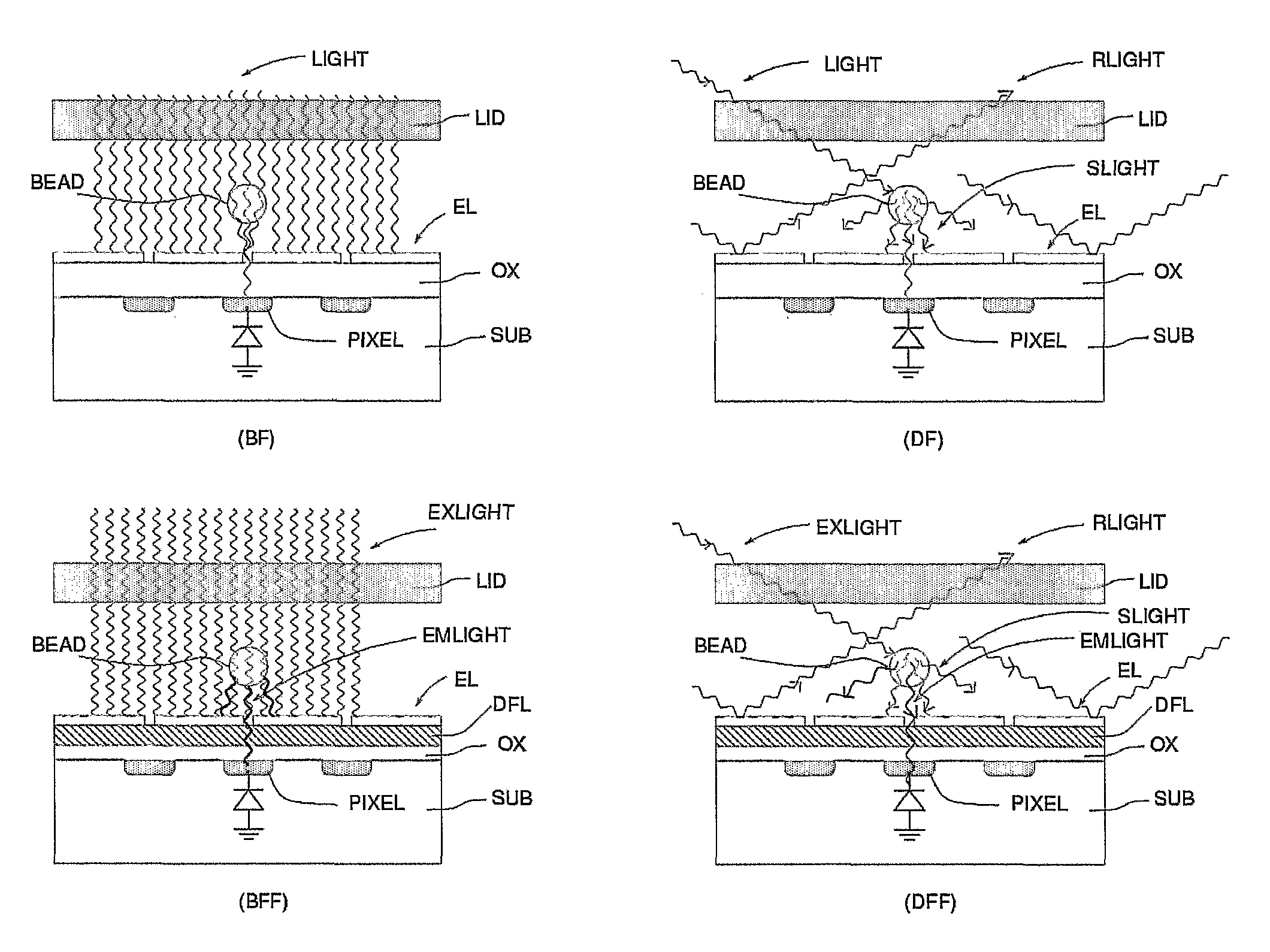 Method and apparatus for characterizing and counting particles, in particular, biological particles