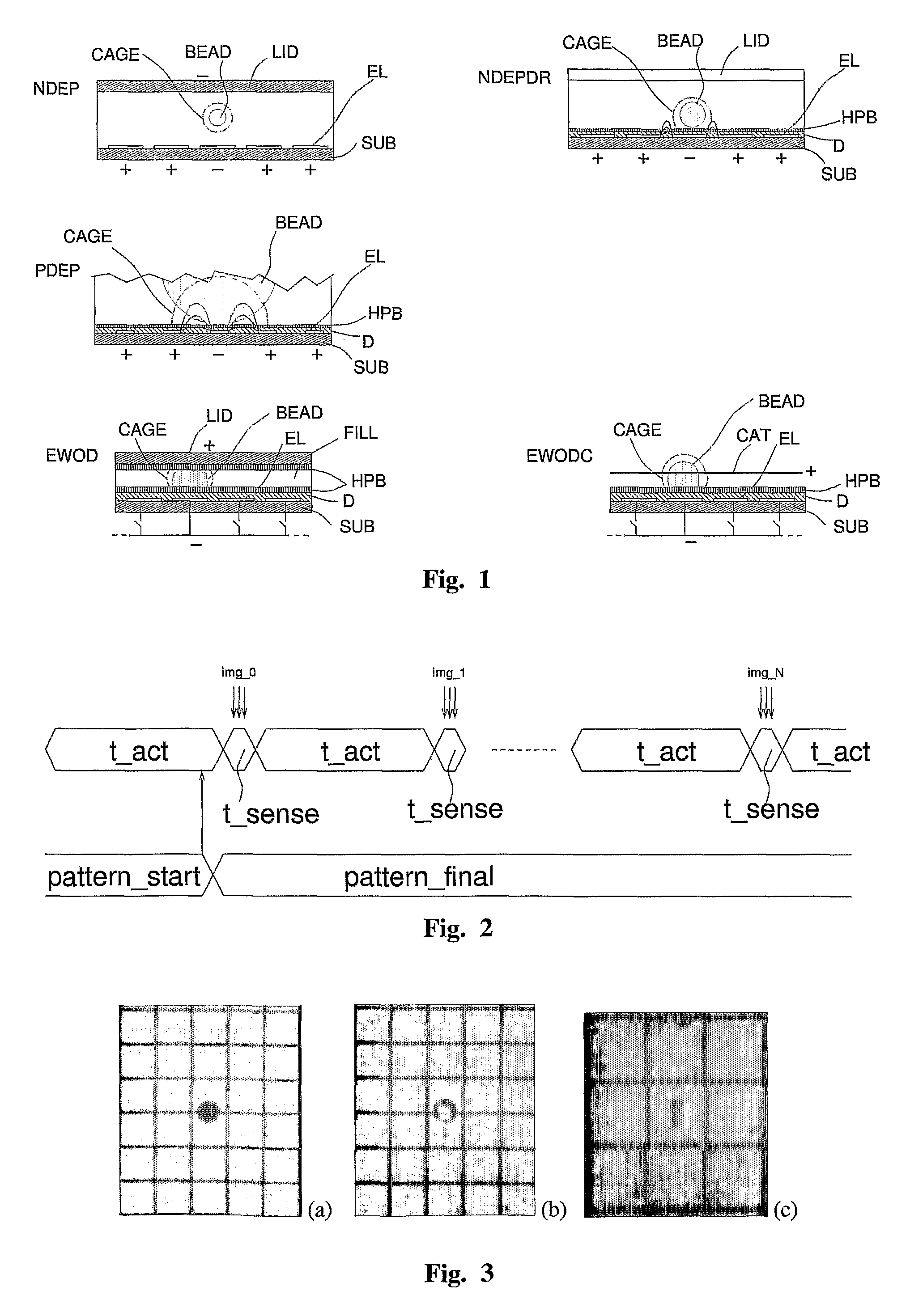 Method and apparatus for characterizing and counting particles, in particular, biological particles