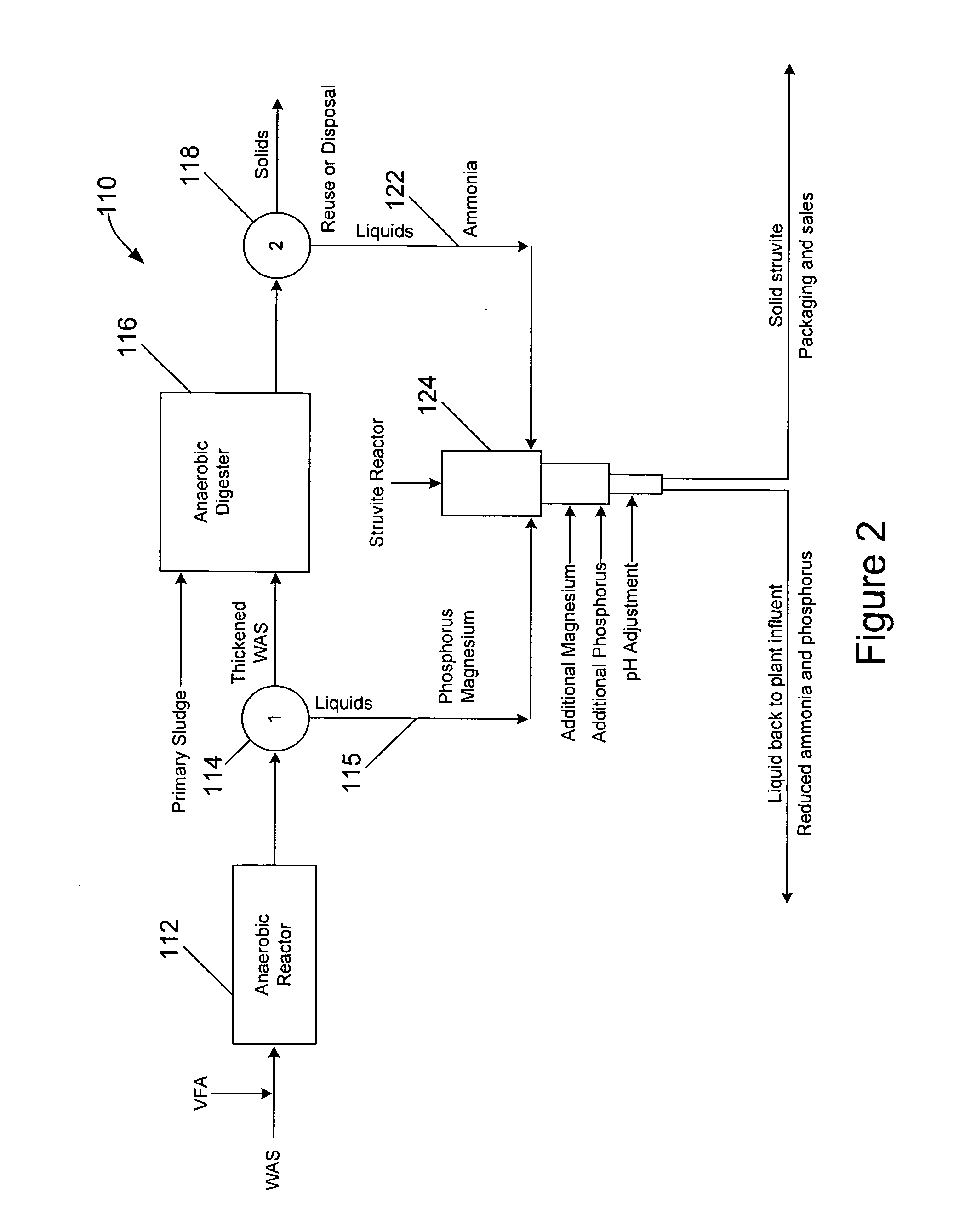 Waste activated sludge phosphorus and magnesium stripping process and struvite production system