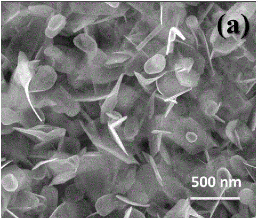 Cobalt-doped tungsten sulfide nanosheets, preparation method thereof and application of electrochemical hydrogen evolution