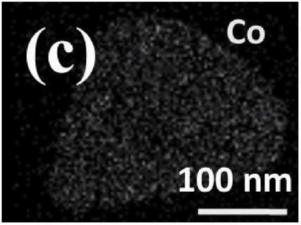 Cobalt-doped tungsten sulfide nanosheets, preparation method thereof and application of electrochemical hydrogen evolution