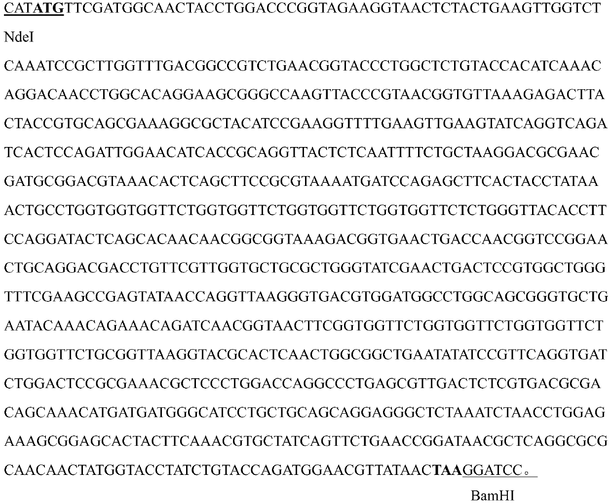 Detection strip for qualitative detection of acinetobacter baumannii specific antibodies in human serum