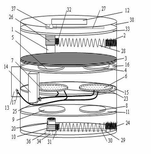 Automatic decoupling detection method for harmful bacteria intruding into tissues of vegetables or fruits and device