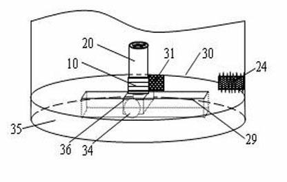 Automatic decoupling detection method for harmful bacteria intruding into tissues of vegetables or fruits and device