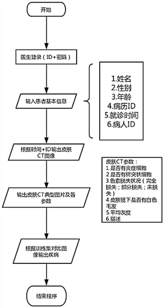 An auxiliary system for comprehensive data analysis and diagnosis of skin diseases