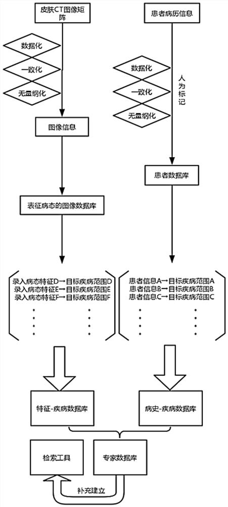 An auxiliary system for comprehensive data analysis and diagnosis of skin diseases