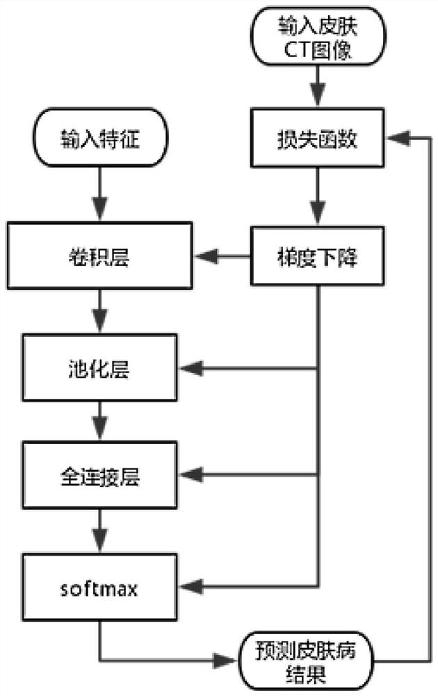 An auxiliary system for comprehensive data analysis and diagnosis of skin diseases