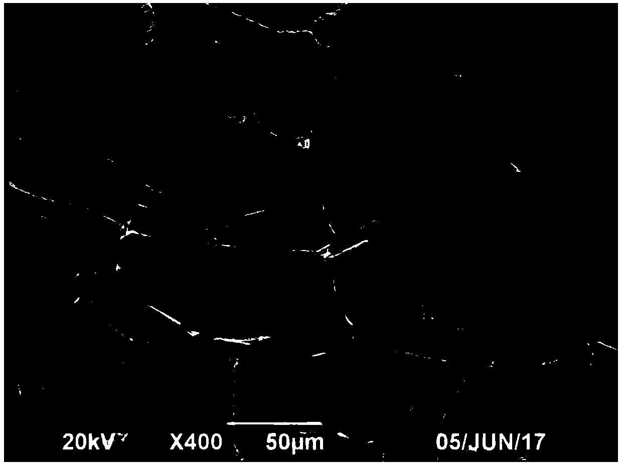 High-hydrophobicity silicon carbide foam ceramic as well as preparation method and application thereof