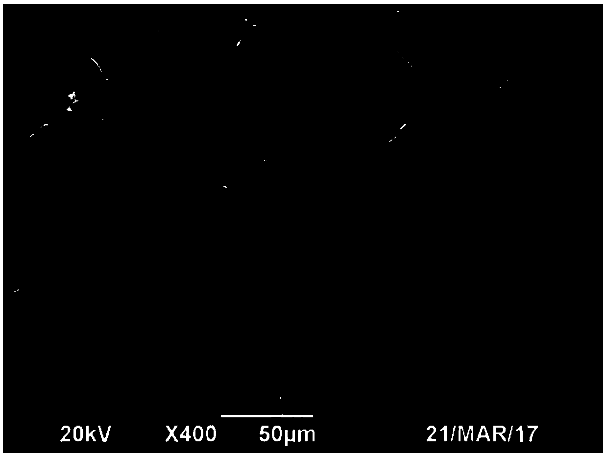 High-hydrophobicity silicon carbide foam ceramic as well as preparation method and application thereof