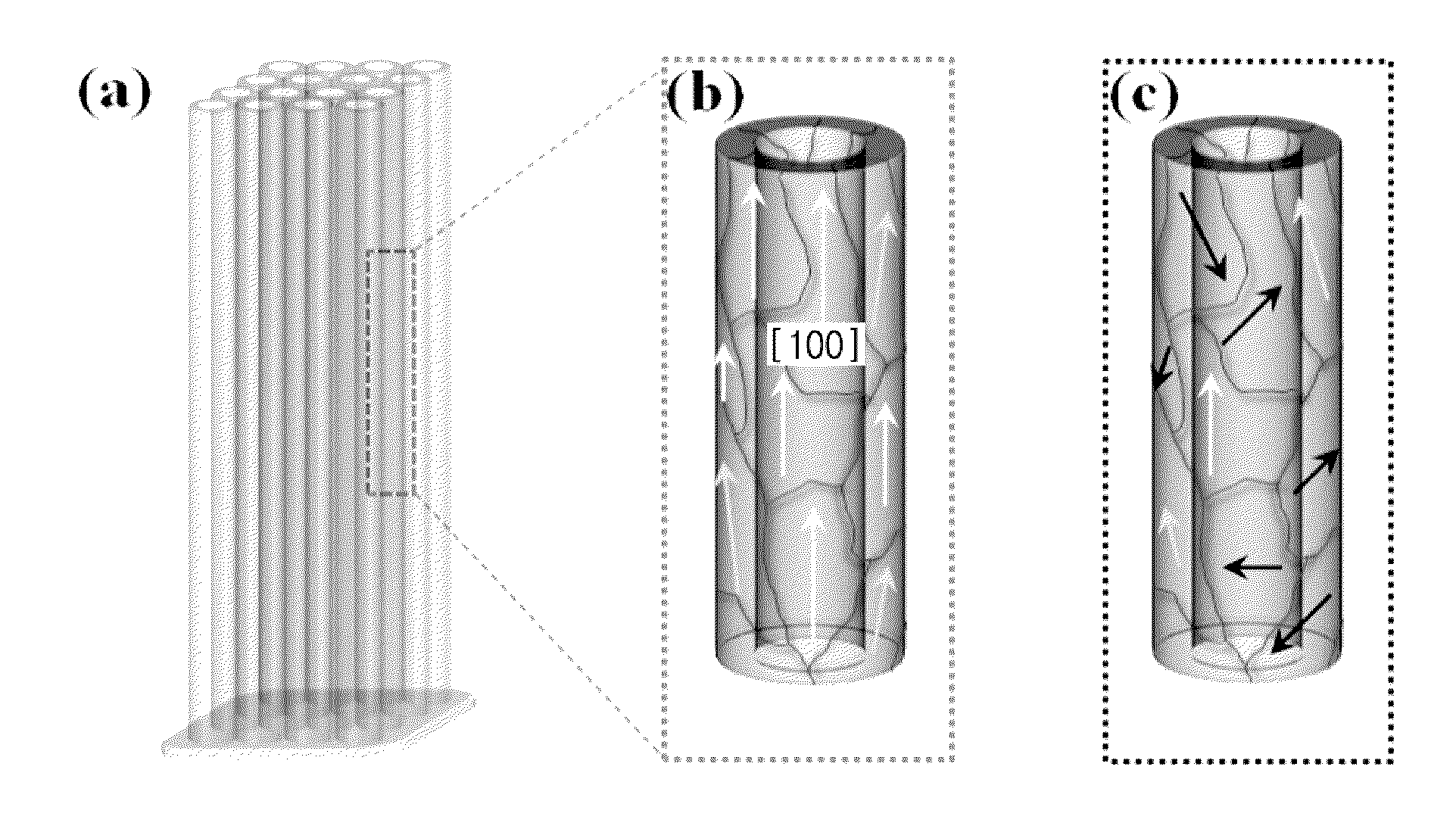 Titanium oxide NANO tube material and method for manufacturing the same