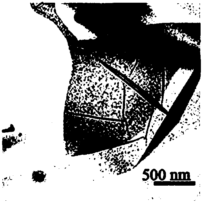 Synthesis method of gold nanosheets and application of gold nanosheets in diagnosis and treatment of breast cancer