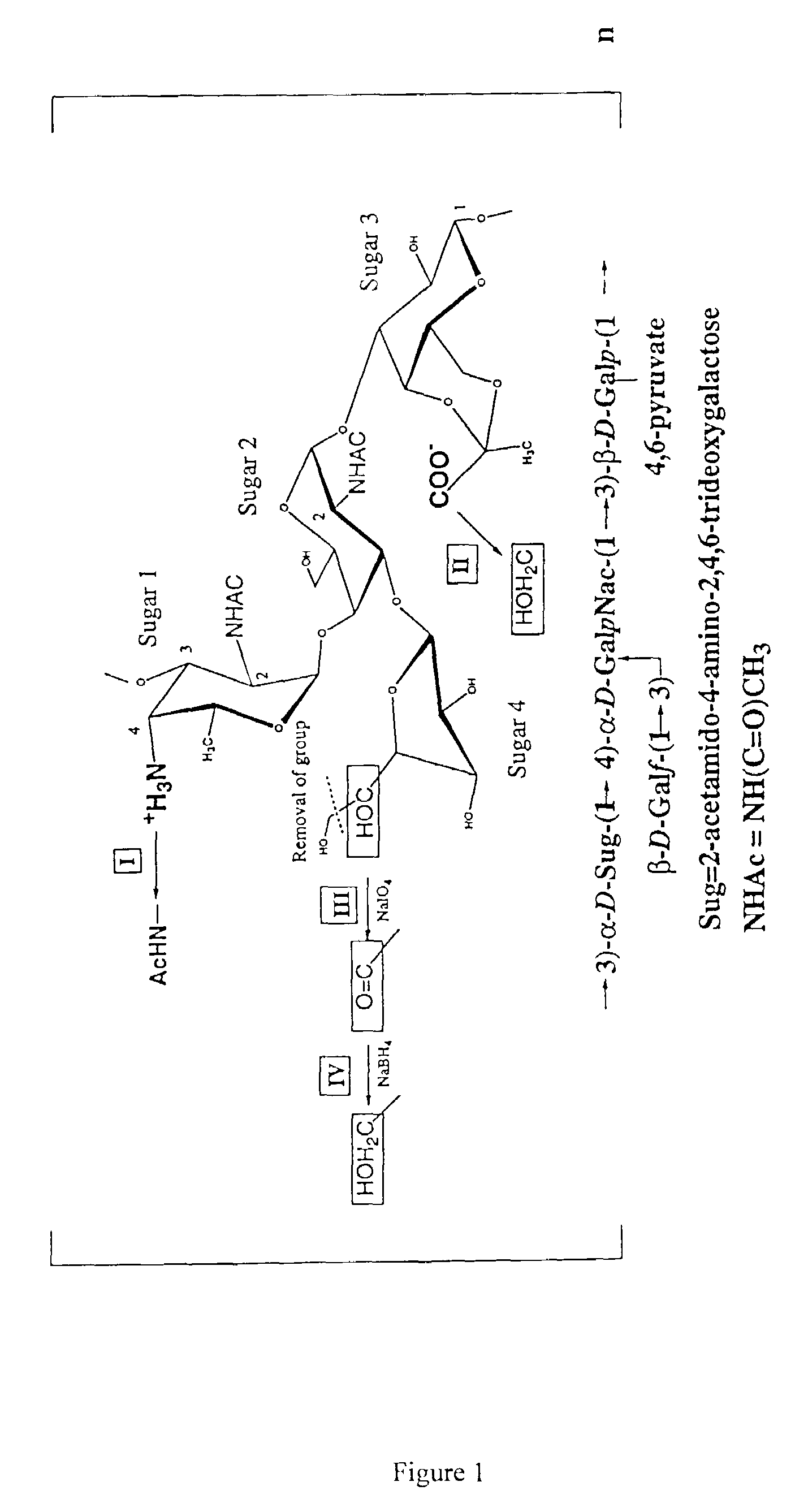 Immunomodulating polymers