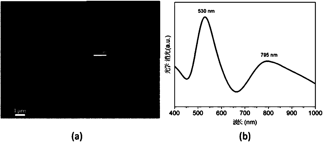 Strongly coupled gold nano superlattice structure and self-assembly preparation method thereof