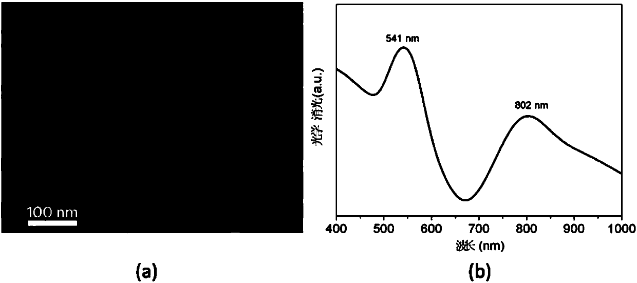 Strongly coupled gold nano superlattice structure and self-assembly preparation method thereof