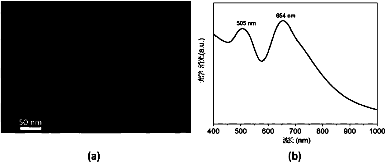 Strongly coupled gold nano superlattice structure and self-assembly preparation method thereof