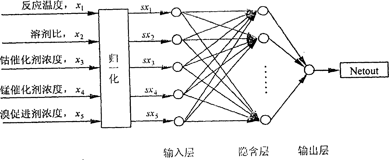 Establishing method of dynamic model of liquid phase catalytic paraxylene oxidizing reaction