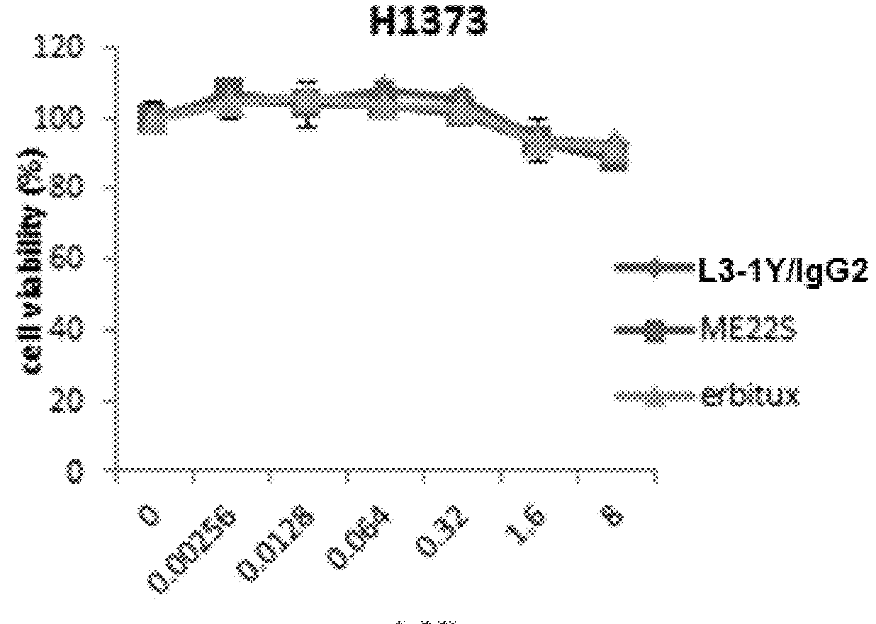 Biomarker hsp90 for predicting effect of a c-met inhibitor