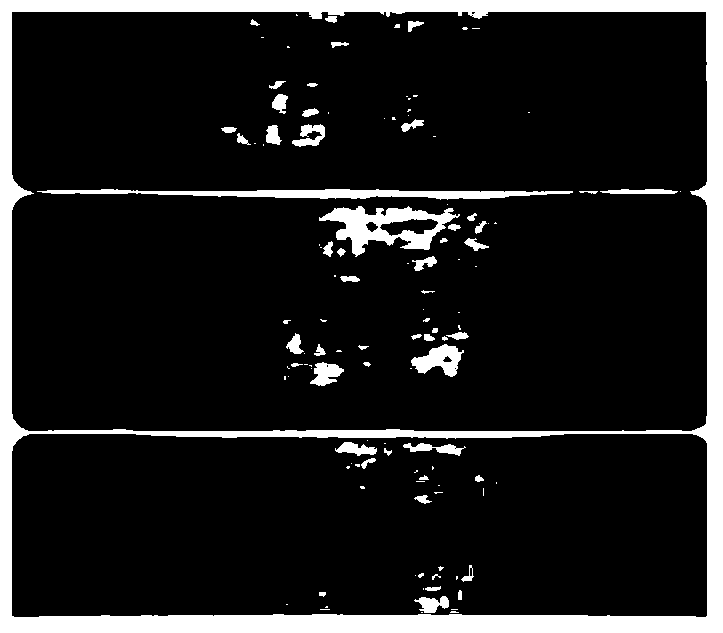 Umbilical cord and placenta stem cell firming and repairing essence and preparation method thereof