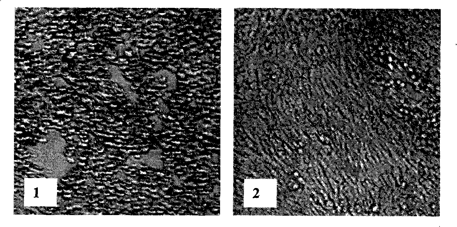 B cell antigen epitope polypeptide of encephalitis B virus E protein and uses thereof