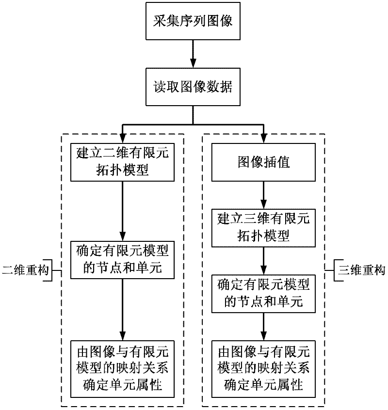 Method for reconstructing micro structure finite element of multiphase material based on sequence image