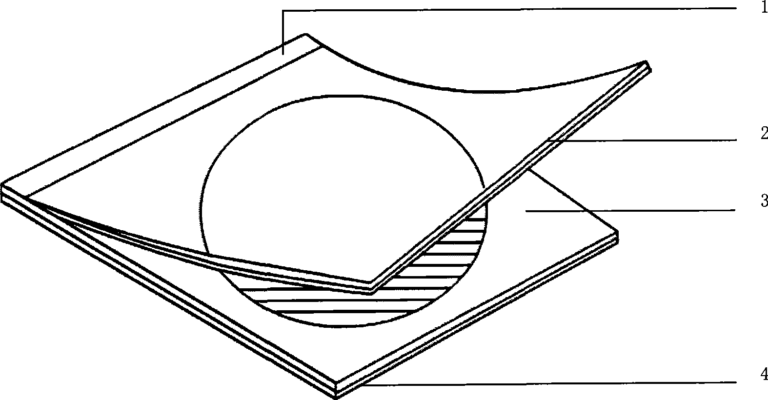 Test chip for fast detecting microorganism, preparation and use thereof