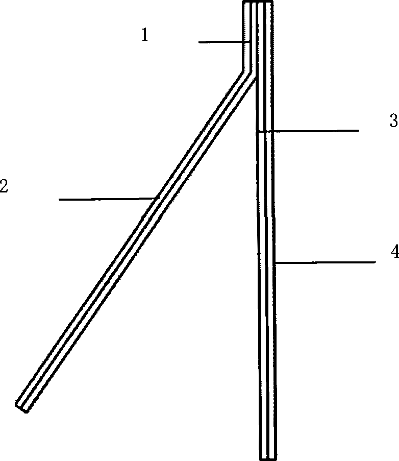 Test chip for fast detecting microorganism, preparation and use thereof