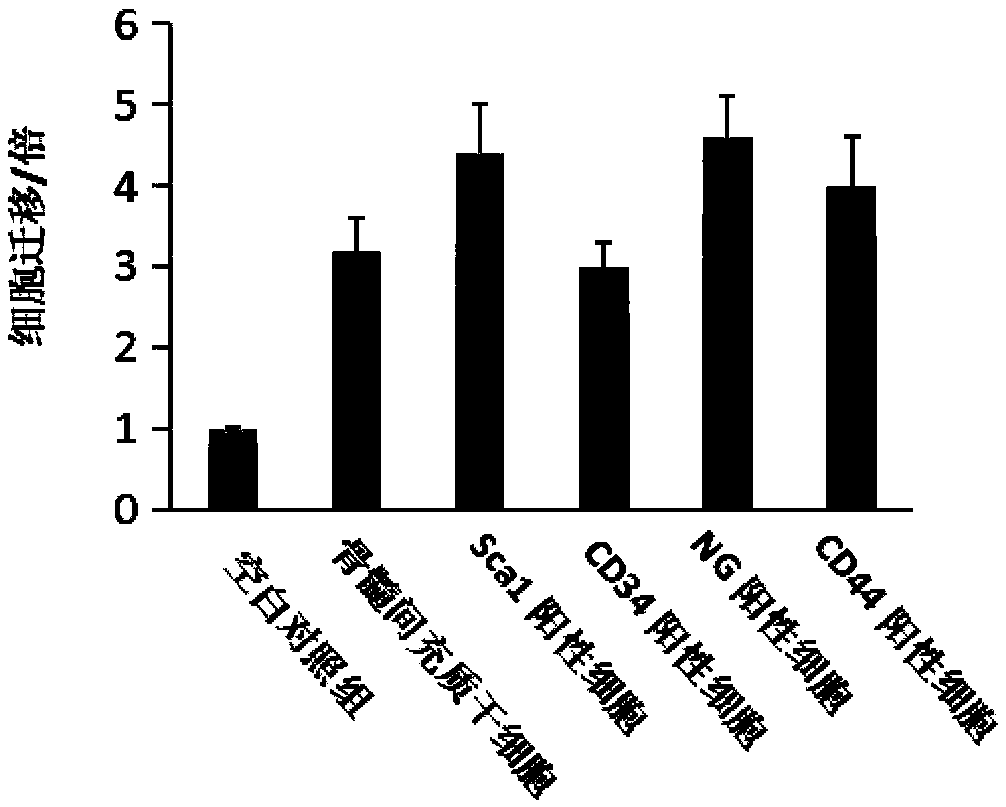 Bioactive polypeptide and application thereof