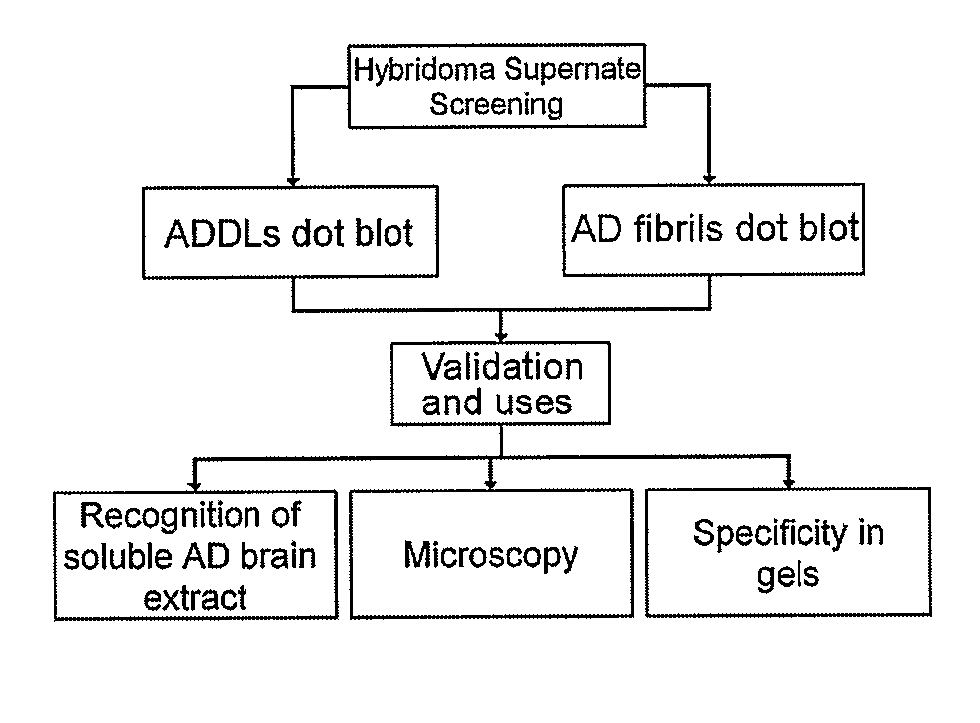 Monoclonal Antibodies That Target Pathological Assemblies Of Amyloid B (Abeta)