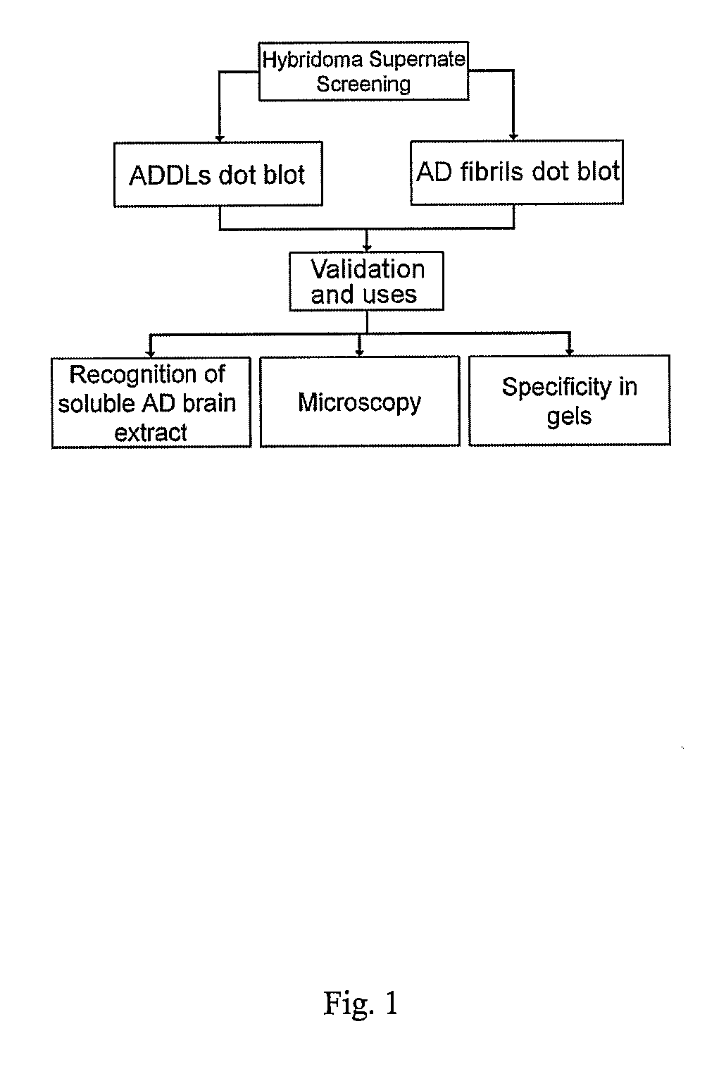 Monoclonal Antibodies That Target Pathological Assemblies Of Amyloid B (Abeta)