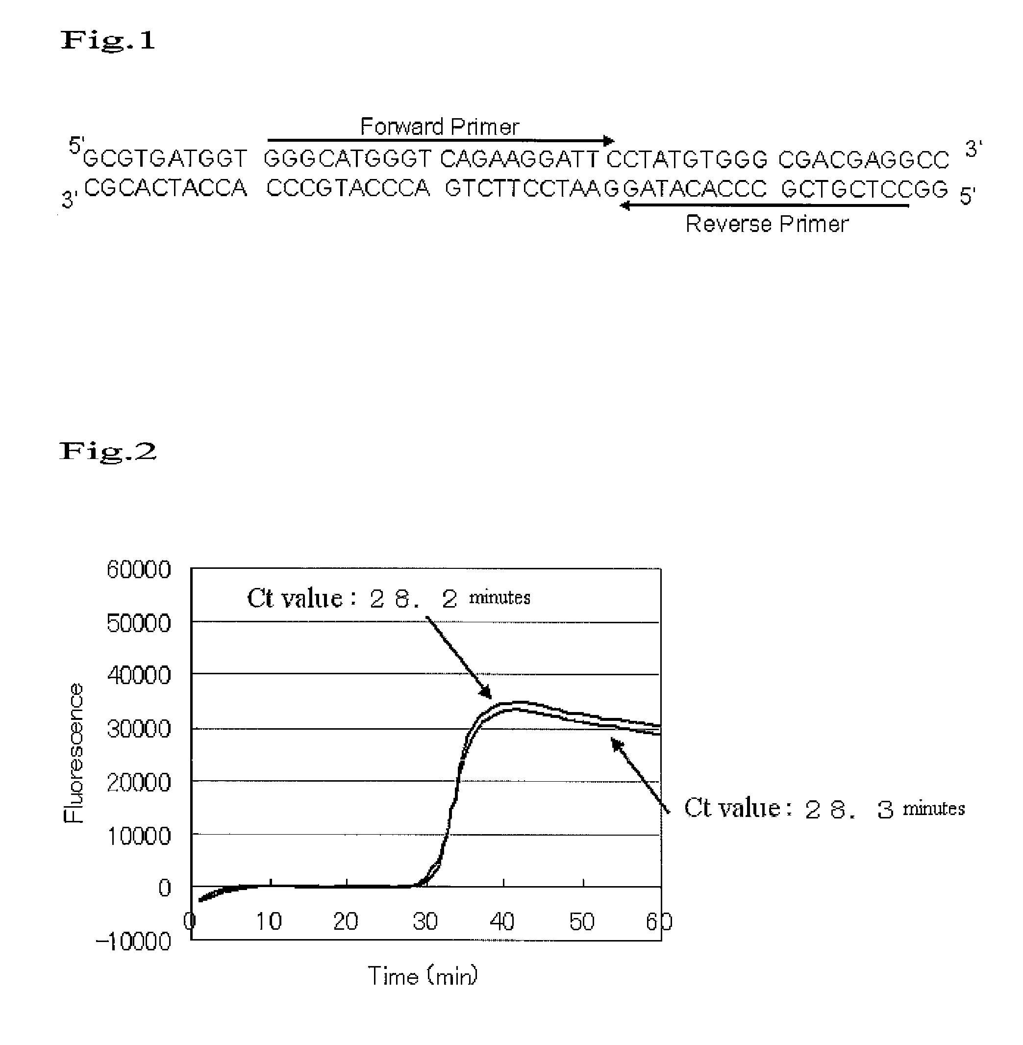 RNA detection method