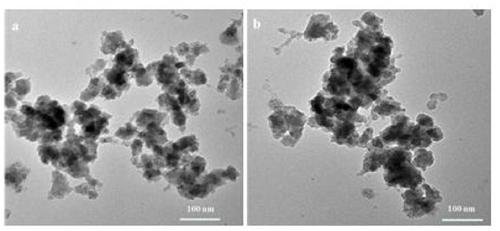 Preparation method of material for detecting content of dopamine in human body