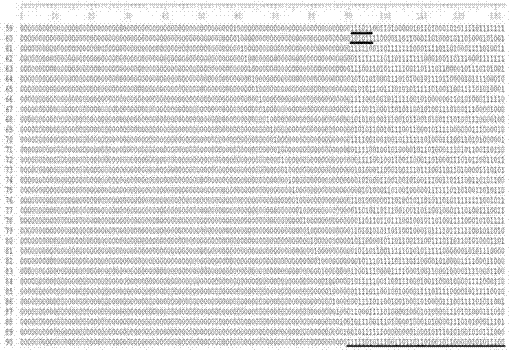 Method for identifying error correction and erasure correction RS code