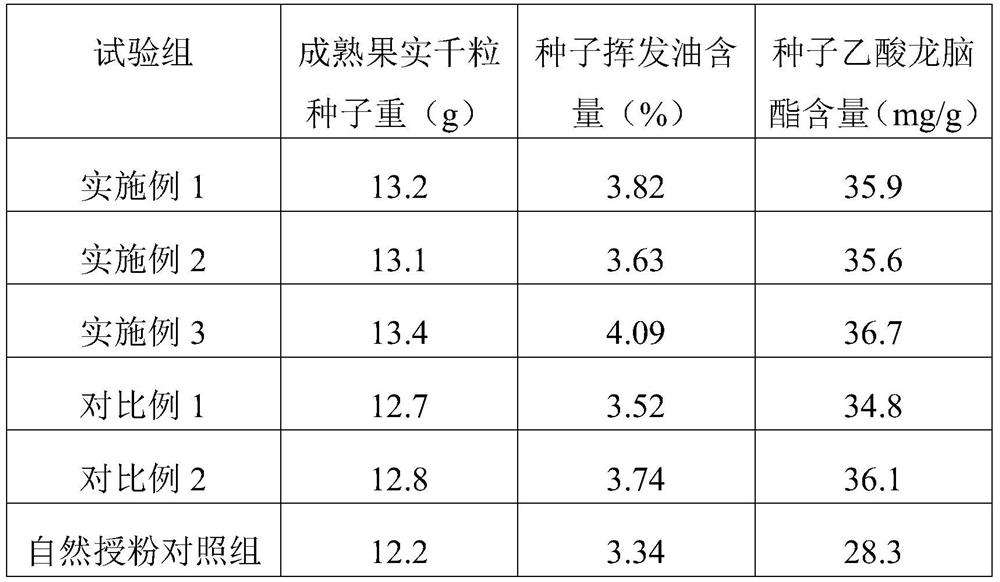 A kind of liquid pollination method of Amomum vulgaris