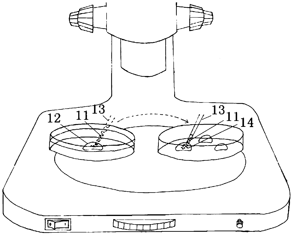 A rabbit non-surgical embryo transfer instrument