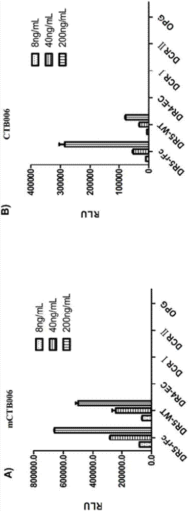 TRAIL receptor-binding agents and uses of same