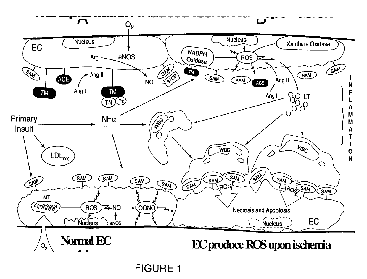 Flaxseed lignan complex, methods of using and compositions thereof