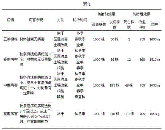 Three-dimensional prevention and treatment method of bacterial canker of kiwifruits