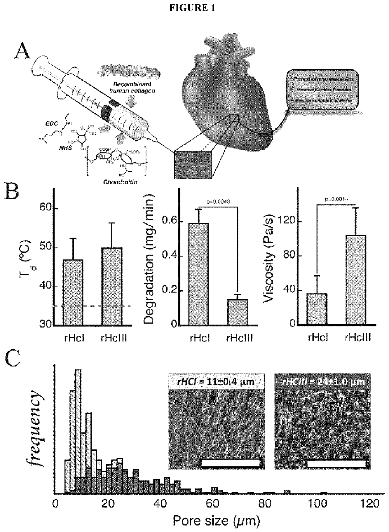 Biocompatible hydrogel compositions and uses thereof