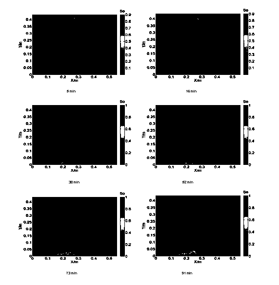 Method for quantitatively monitoring DNAPL (Dense Nonaqueous Phase Liquid) migration process and saturation degree