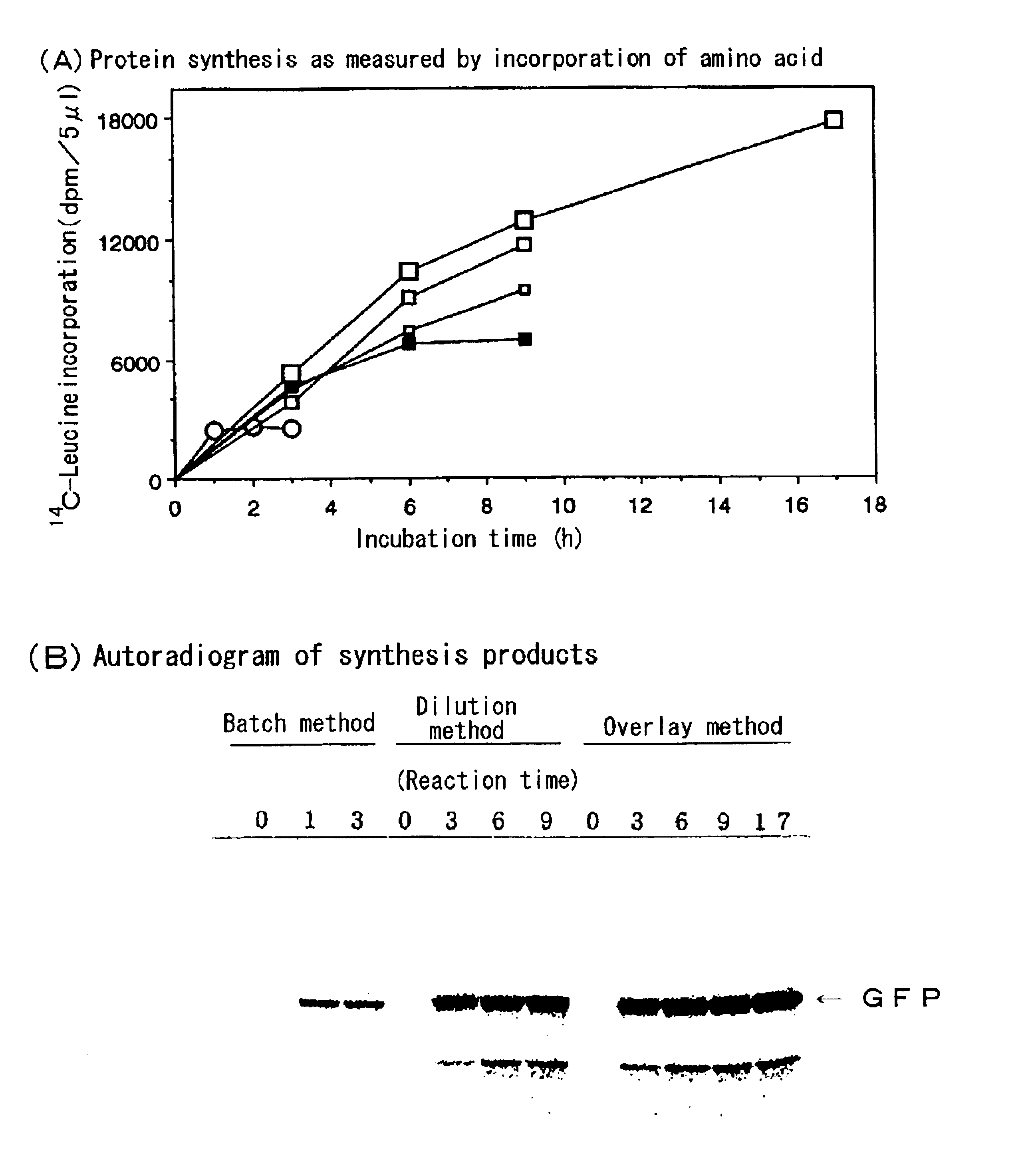 Methods of synthesizing cell-free protein