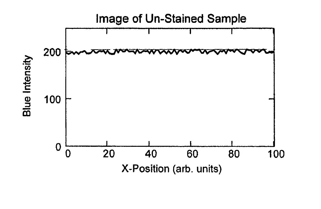 Method and apparatus for automated staining of biological materials