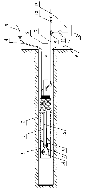 Method for monitoring coal bed gas parameter in real time