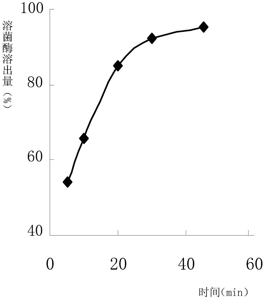 Compound montmorillonite lysozyme ointment and preparation method and application thereof