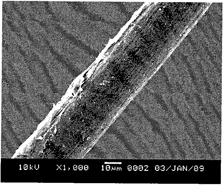 Protease composite enzyme and application thereof