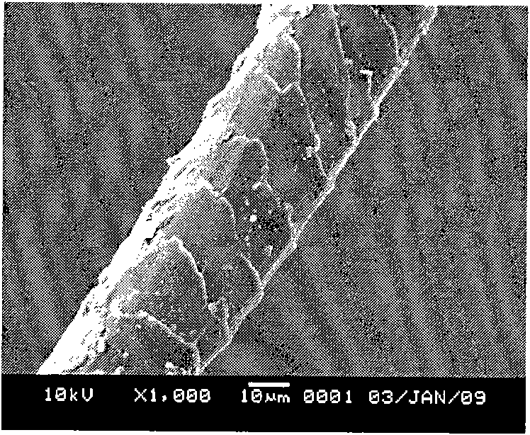 Protease composite enzyme and application thereof