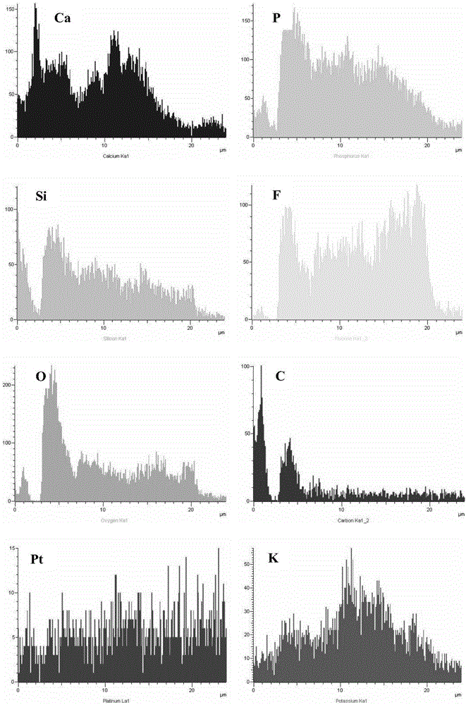 Calcium-phosphorus-silicon biological ceramic coating and preparation method and application thereof