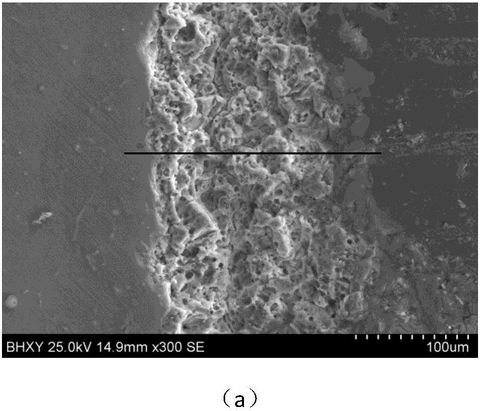 Calcium-phosphorus-silicon biological ceramic coating and preparation method and application thereof