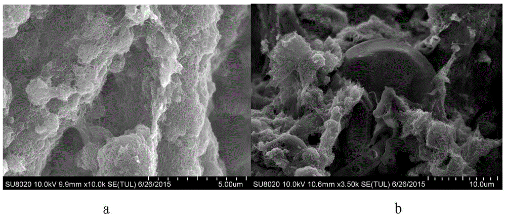 Light, conducting and shielding composite material and preparation method thereof